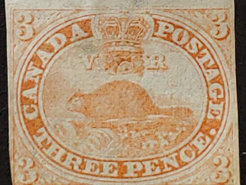 Canada #1 Fine Unused 3d Beaver