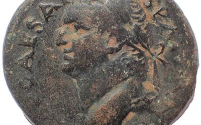 Vespasian AD 69-79 Seleucis & Pieria, Antioch 13.9gm 27mm AE As