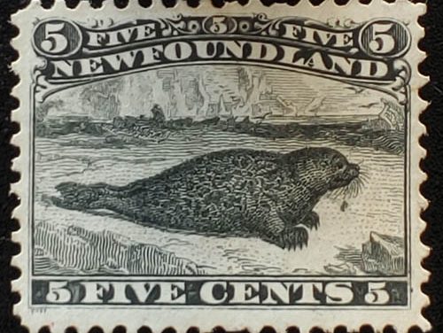 Newfoundland #26 VF Unused 1869 5c Seal, Dot under Chin
