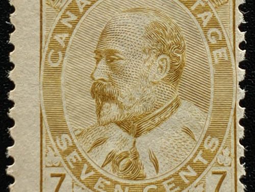 Canada #92 Fine Never Hinged 1903 7c Olive Bistre