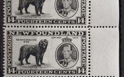 Newfoundland #238i/ix stamps Never Hinged Re-entries Strip (5)