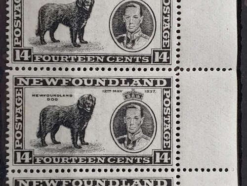Newfoundland #238i/ix stamps Never Hinged Re-entries Strip (5)