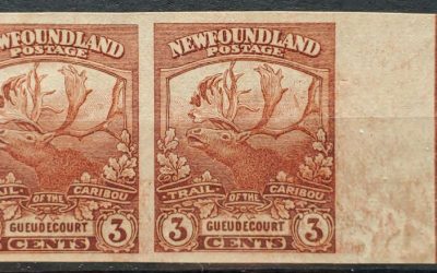 Newfoundland #117a VF Unused 1919 3c Imperforate Line Pair