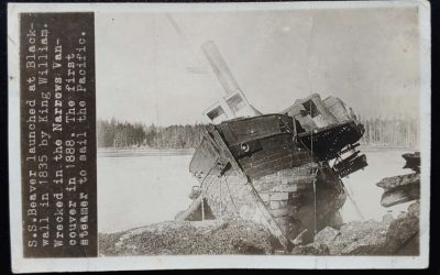 S.S. Beaver Unused Bailey Bros Photo Wreck Postcard