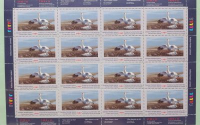 Canada #FWH5 VFNH 1898 $7.50 Snow Geese Sheet (16)
