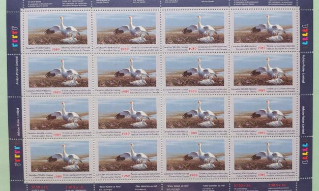 Canada #FWH5 VFNH 1898 $7.50 Snow Geese Sheet (16)