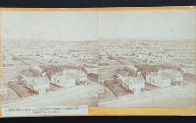 Birds eye View of Victoria, B.C. Richard Maynard Stereoview