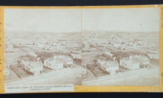 Birds eye View of Victoria, B.C. Richard Maynard Stereoview