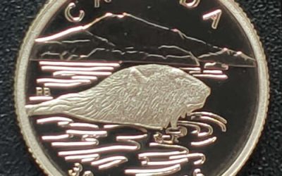 Canada Proof 1990 pure 1/10oz Platinum $30, 2629 issued