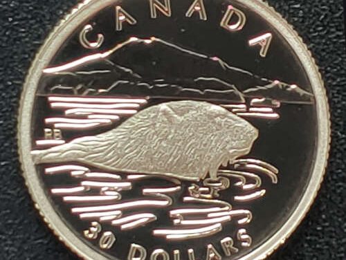 Canada Proof 1990 pure 1/10oz Platinum $30, 2629 issued