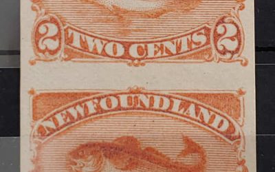 Newfoundland #48a VF Unused 1880/86 2c Codfish Imperf Pair