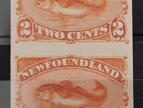 Newfoundland #48a VF Unused 1880/86 2c Codfish Imperf Pair