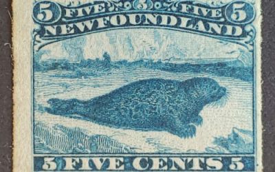 Newfoundland #40 Fine+ never Hinged 1876 5c Seal