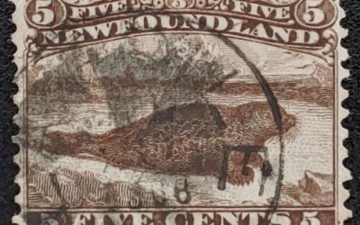 Newfoundland #25 Fine Used 1865 5c Seal, unusual cancel