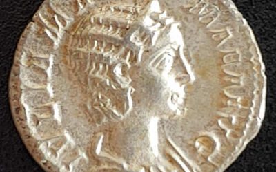 Julia Mamaea 222-235 2.59gm Silver Denarius w/ Venus etc