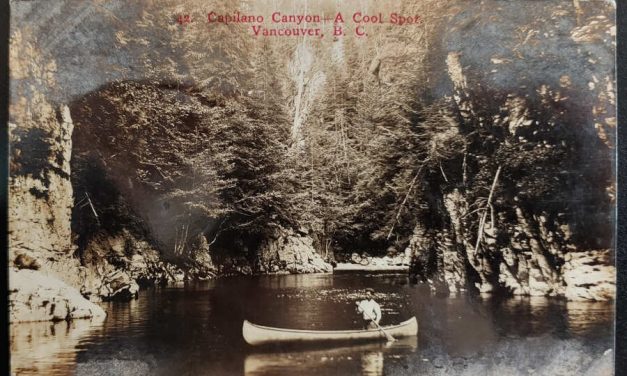 Capilano Canyon, B.C. #89 8 May 1907 1c Timms S. Van Postcard