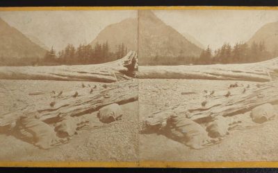 Maynard Victoria, B.C. Indians on Beach Stereoview Postcard