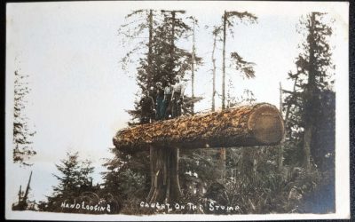 Handlogging caught on the stump Unu Quatsino area colour Postcard