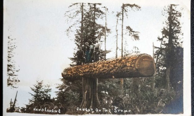 Handlogging caught on the stump Unu Quatsino area colour Postcard