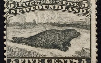 Newfoundland #26 Fine Mint 1859 5c Seal, Imprint at right
