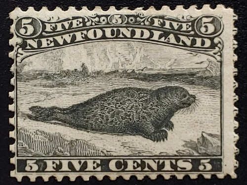 Newfoundland #26 Fine Mint 1859 5c Seal, Imprint at right