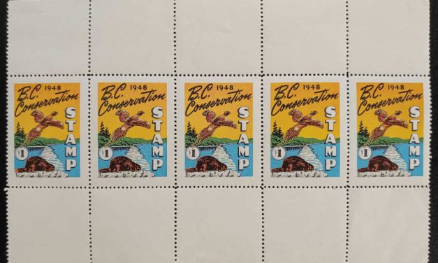 British Columbia #BCD3a VFNH Short Log Variety in $1 Pane (5)