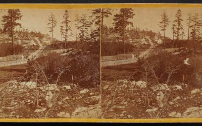 Esquimalt from the Dockyard R. Maynard Stereoview