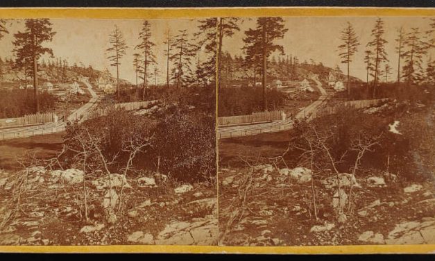 Esquimalt from the Dockyard R. Maynard Stereoview