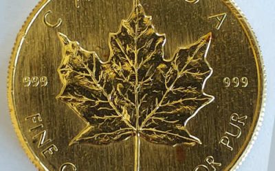 Canada BU 1982 .999 fine Ounce Gold Maple Leaf