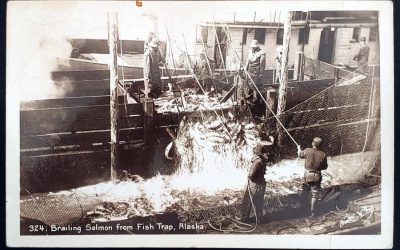 Alaska #C25 22 Feb 1943 6c Salmon Real Photo Postcard