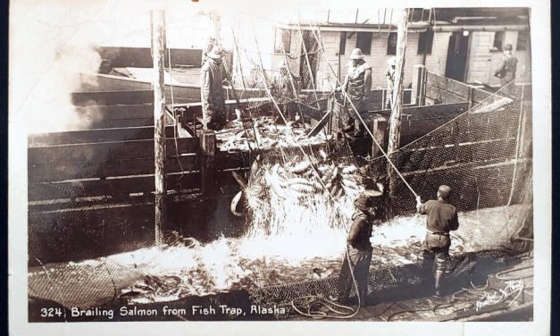 Alaska #C25 22 Feb 1943 6c Salmon Real Photo Postcard
