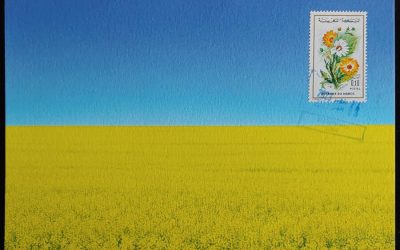 Morocco 24 Aug 2023 Ukraine Support Maxicard #1/2* (only 1 available)