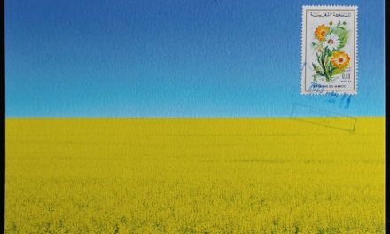 Morocco 24 Aug 2023 Ukraine Support Maxicard #1/2* (only 1 available)