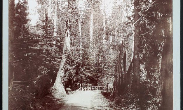 Stanley Park Bailey Bros 7.5×9.5″ Rustic Bridge Photo (2)