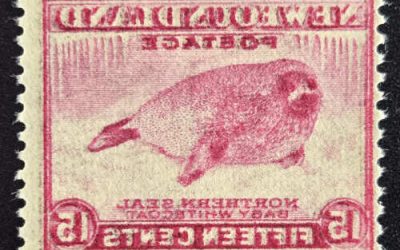 Newfoundland #262i Fine Never Hinged 15c Dramatic Offset