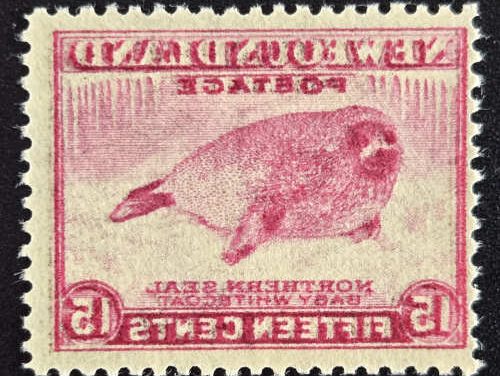 Newfoundland #262i Fine Never Hinged 15c Dramatic Offset