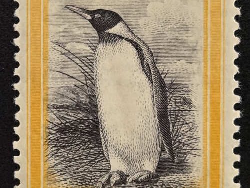 Falklands #741933 5/- Penguin 1974 B.P.A. Certificate