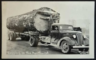 Logging in the Northwest Unu 1939 Oregon Real Photo Postcard