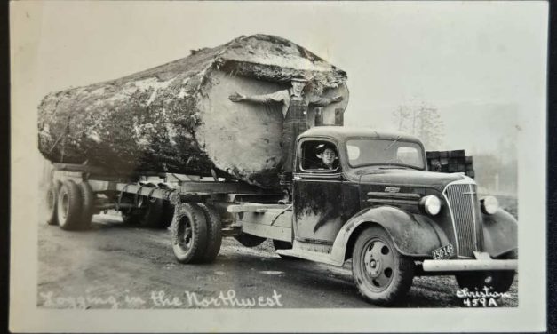 Logging in the Northwest Unu 1939 Oregon Real Photo Postcard