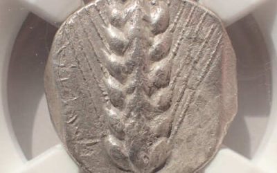 Lucania, Metapontum 470-440BC NGC choice VF 16mm AR Stater