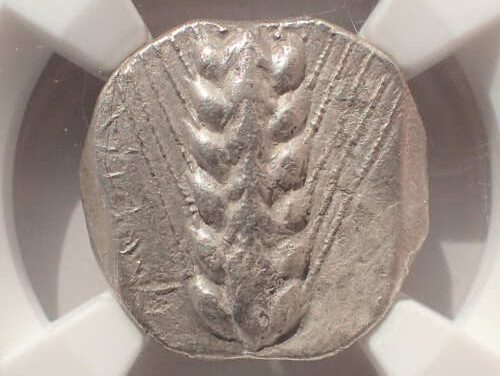Lucania, Metapontum 470-440BC NGC choice VF 16mm AR Stater