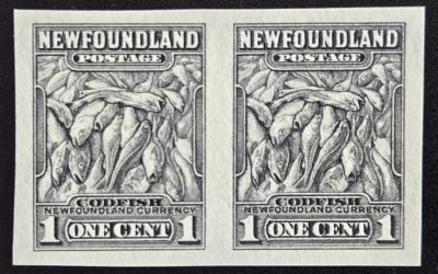 Newfoundland #253a VFNH 1941/44 1c Codfish Imperforate Pair
