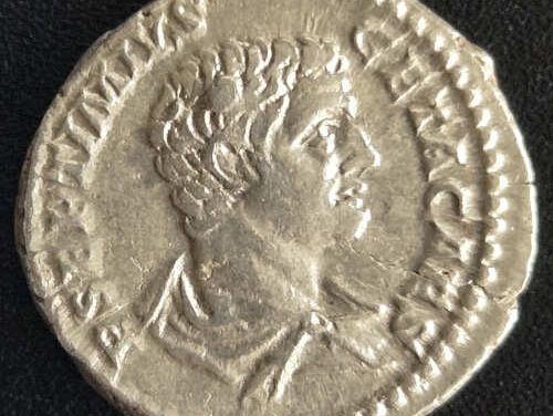 Geta AD 198-212 3.62gm Silver Denarius w/ Minerva Pacifera etc