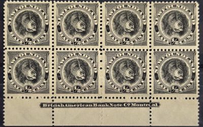 Newfoundland #58, 58ii Fine+ Mint 1894 1/2c Imprint Blk (8)