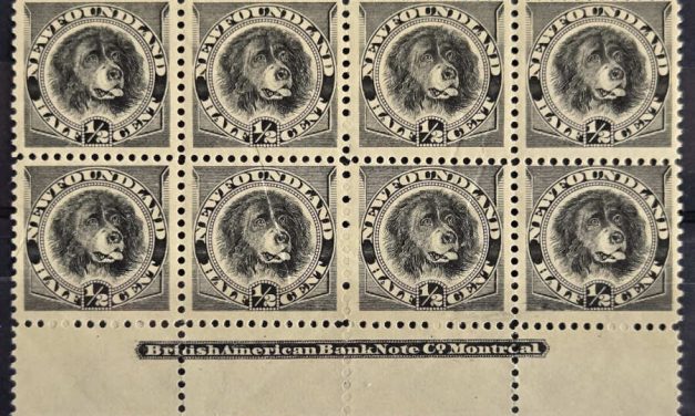 Newfoundland #58, 58ii Fine+ Mint 1894 1/2c Imprint Blk (8)