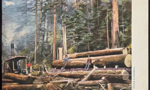 Steam Lumbering 31 May 1912 2c Oilette colour New Westminster Postcard