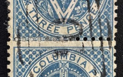 B.C. #7a Fine William’s Creek 10 Used 1865 3d Pair