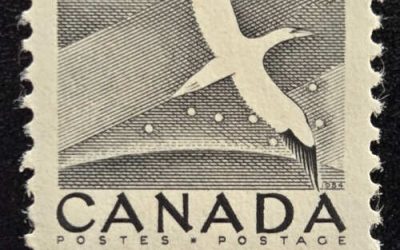Canada #343 Mint 1954 15c Gannet Misperf
