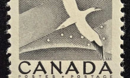 Canada #343 Mint 1954 15c Gannet Misperf