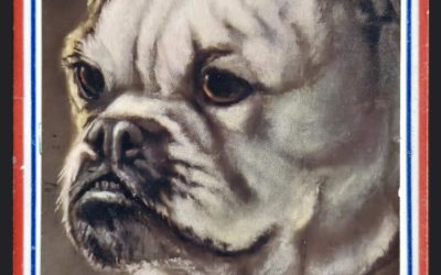 Who Said Germany #159 24 Sep 1914 1/2d Bulldog Postcard